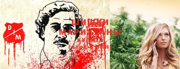 эйфоретик Зеленокумск