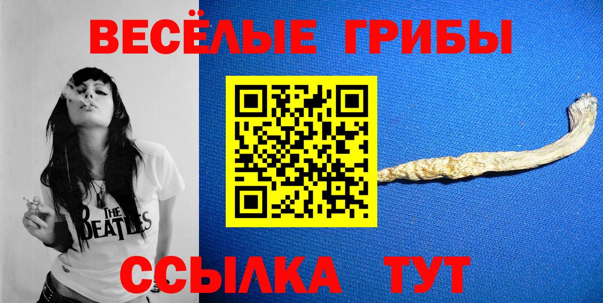 Галлюциногенные грибы Psilocybe Черемхово